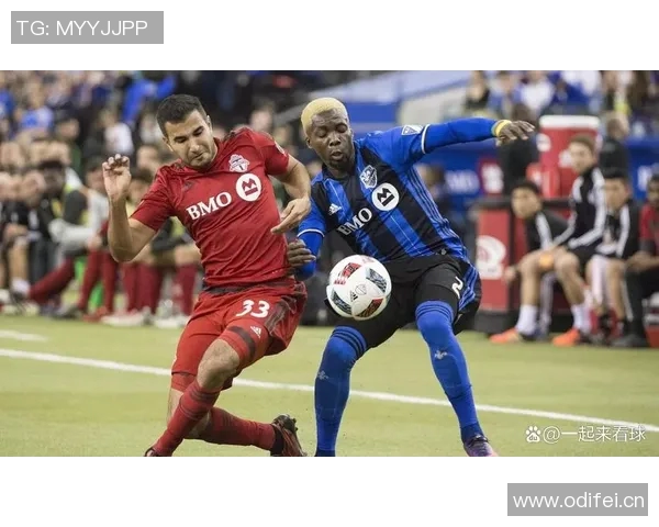 多伦多节奏队迎来新任主教练前纽约自由人领军者布朗德洛