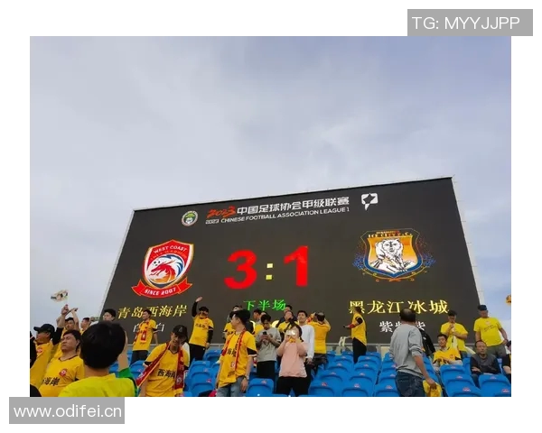 梅米舍维奇即将加盟青岛西海岸引发球迷热议原河北国安外援新动向