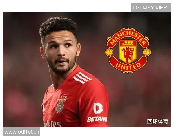 凯恩解约金条款曝光6500万欧元冬窗才能激活 凯恩解约金条款曝光6500万欧元冬窗才能激活